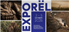 Московская Международная Выставка оружия и товаров для охоты ORЁLEXPO 2025